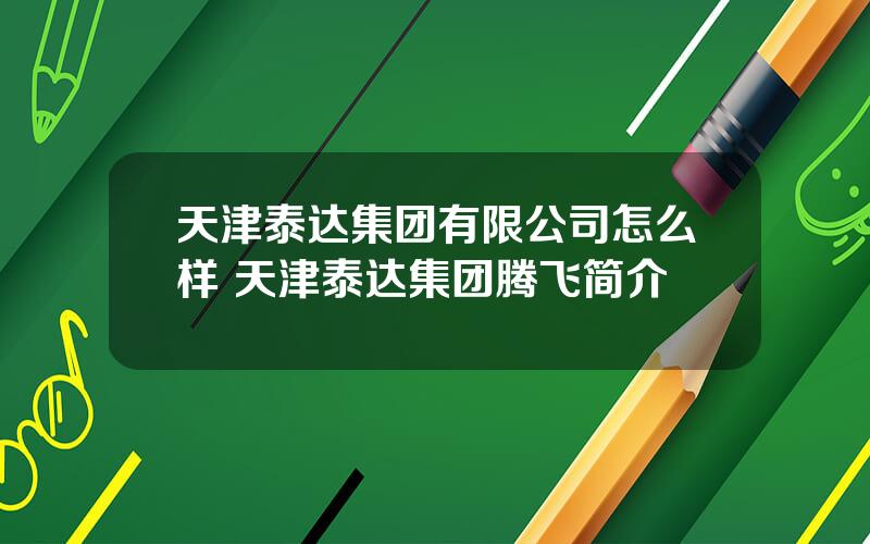 天津泰达集团有限公司怎么样 天津泰达集团腾飞简介